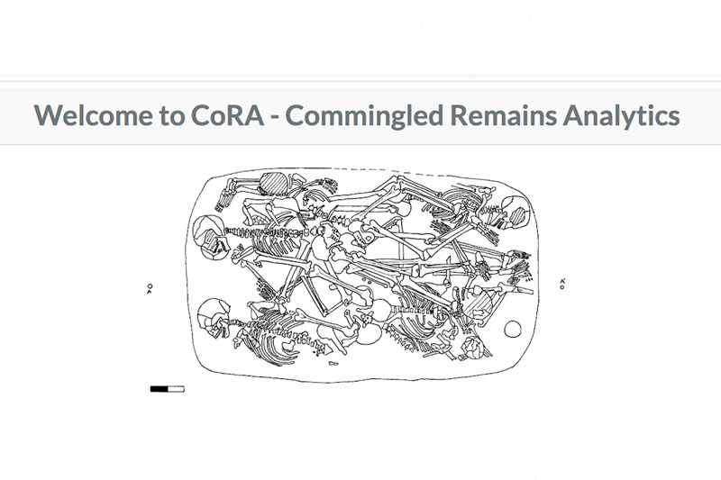 A screen capture of the CoRA website
