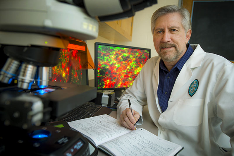 Photo of UNO alumnus Dr. James Zadina working at his office at Tulane University