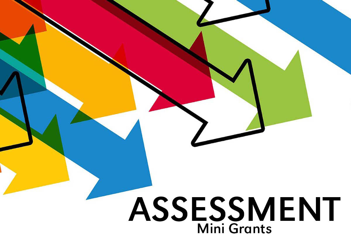 assessment mini grant graphic