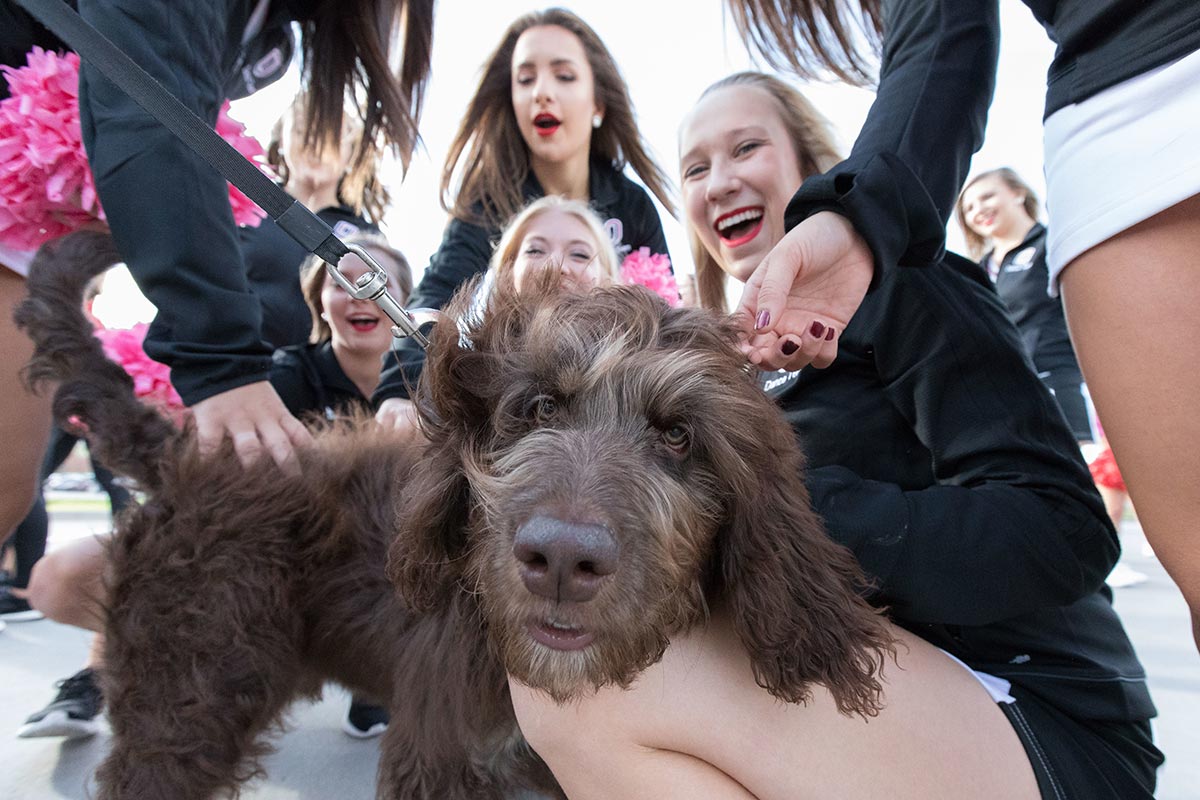 UNO Cheerleaders pose with a pooch on campus