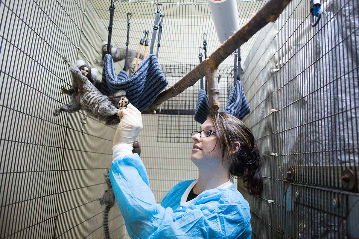 Michaela Devitt feeds a common marmoset in the Lab in Allwine Hall.