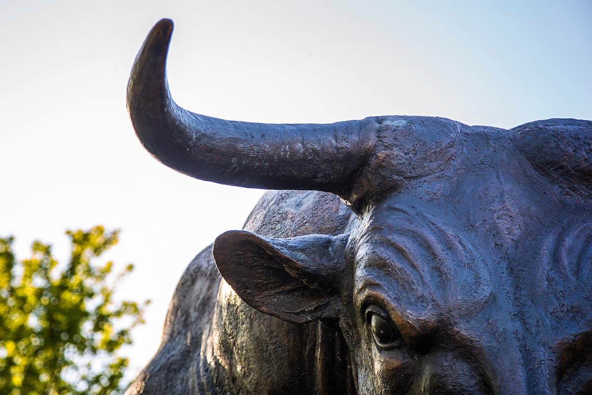 UNO bull monument