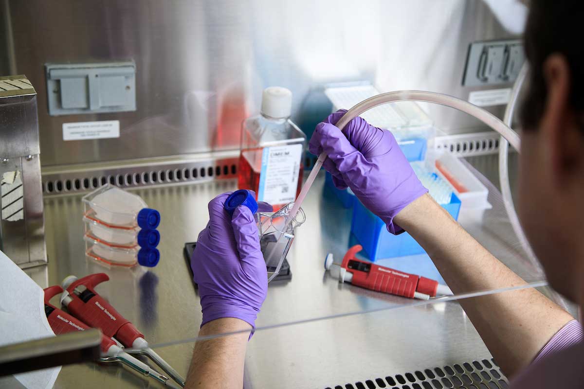 A student processes a sample in one of UNO's biology labs.