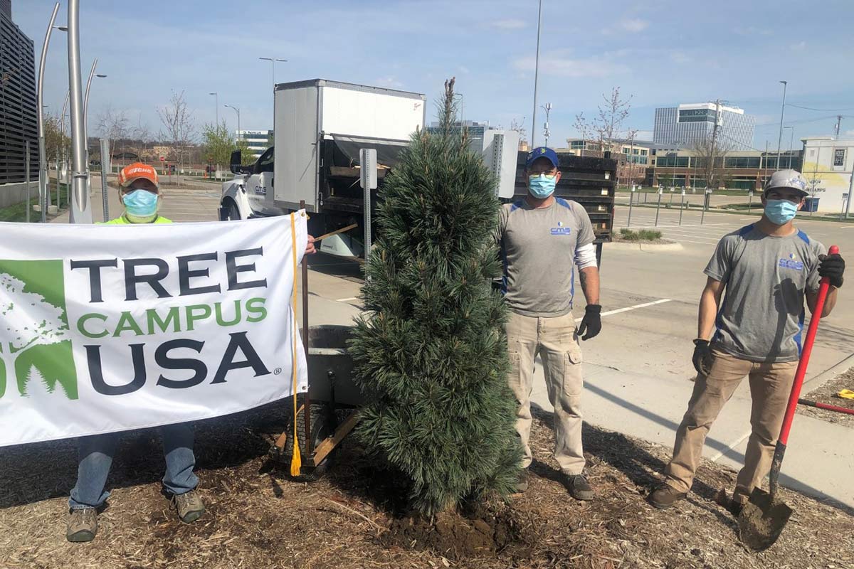 Planting trees near Baxter Arena