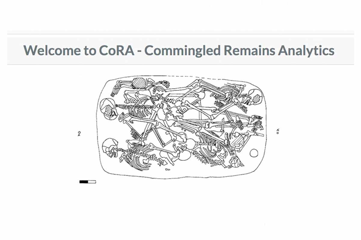 A logo for the Commingled Remains Analytics Ecosystem (CoRA) program