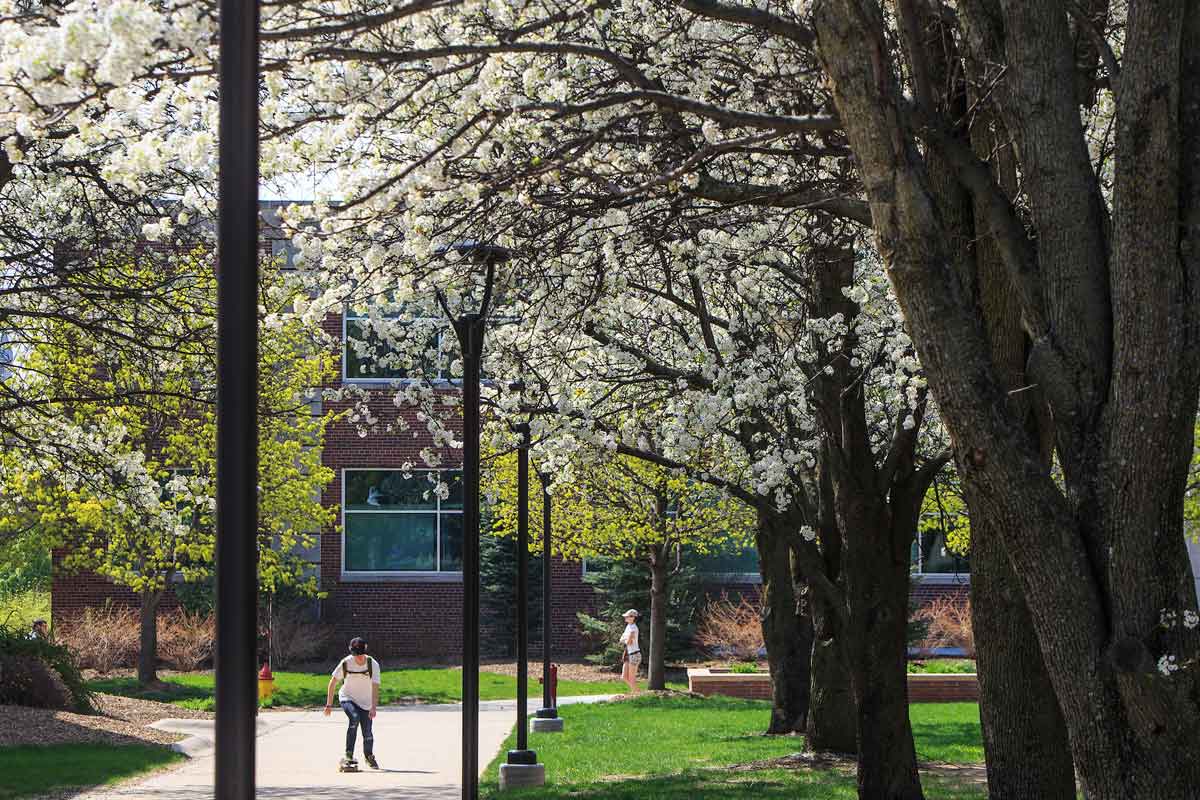 A student skateboards in between Strauss Performing Arts Center and the Milo Bail Student Center with white flowering trees on both sides.