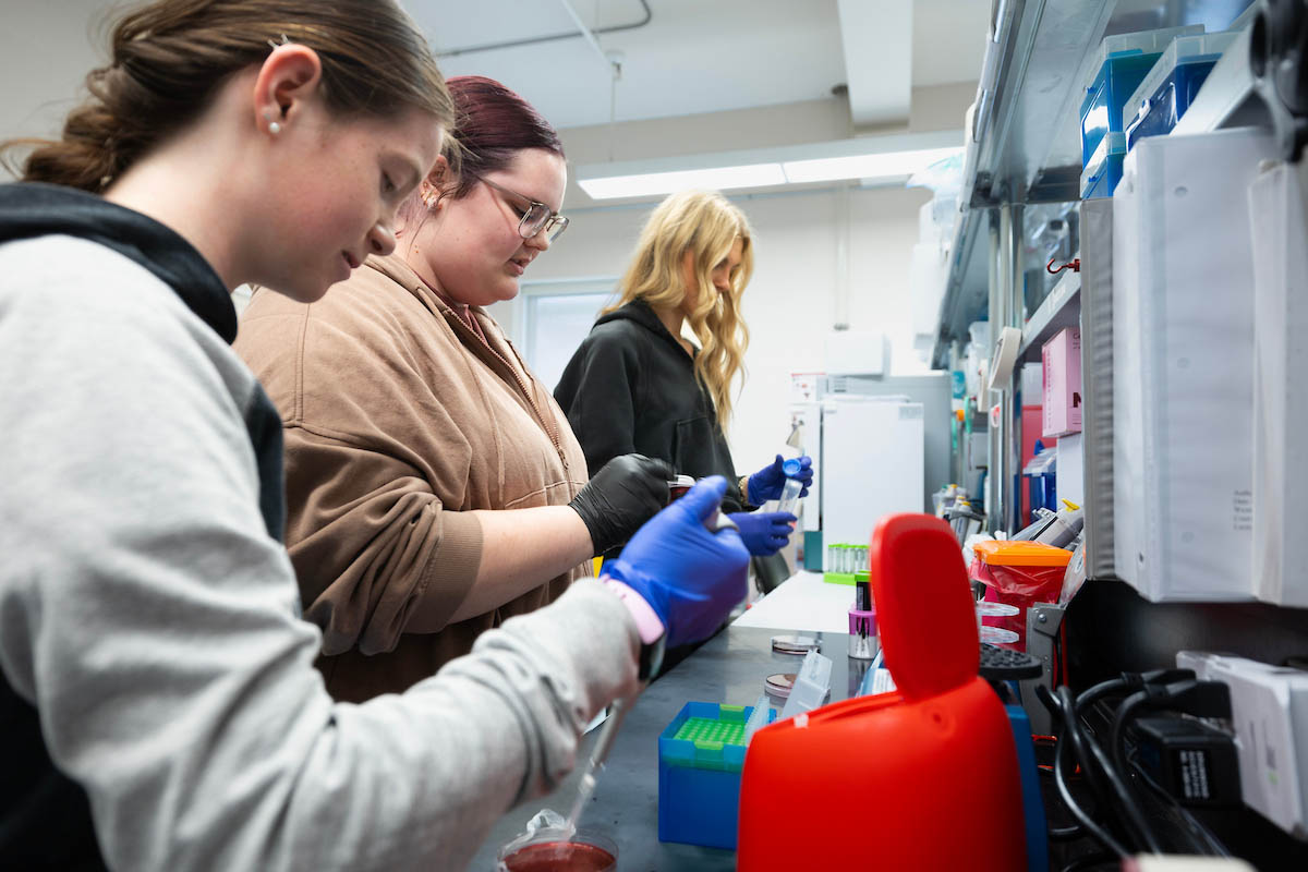 Three people handling samples and tools at lab bench