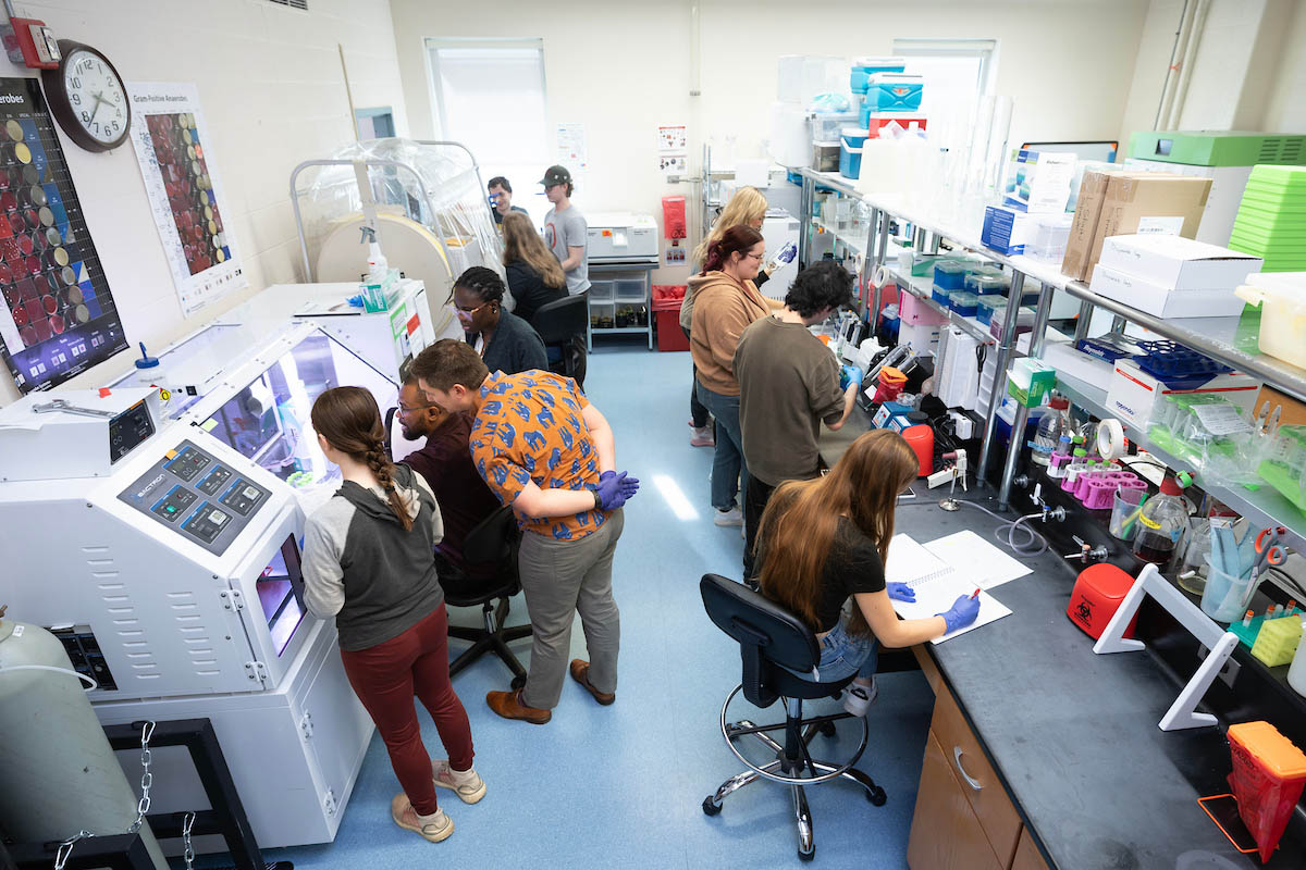 Busy laboratory with multiple people working at benches and equipment