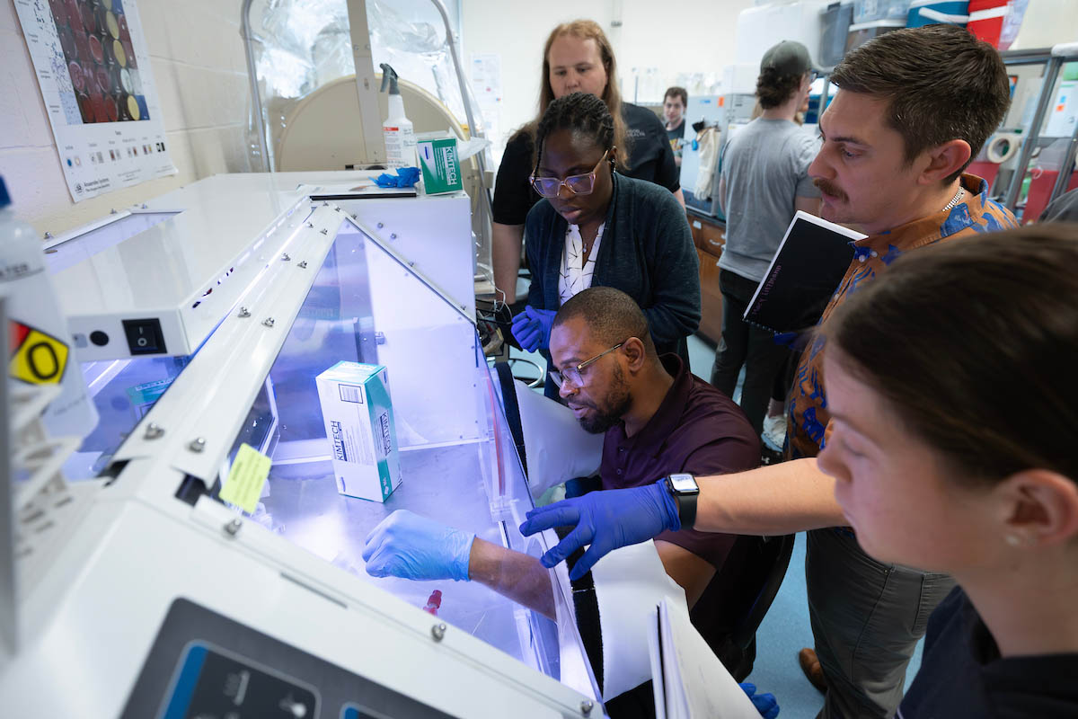 Busy laboratory with multiple people working at benches and equipment