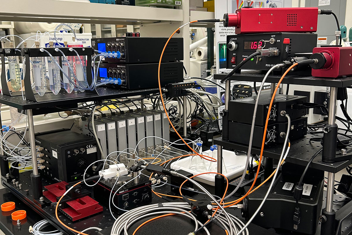 Cables connect to pieces of hardware in a lab setting.  