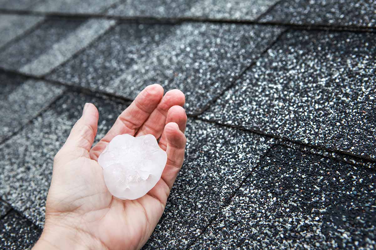A person holds a large, irregularly shaped hailstone in their hand above a dark, wet shingled roof covered with smaller pieces of hail. 