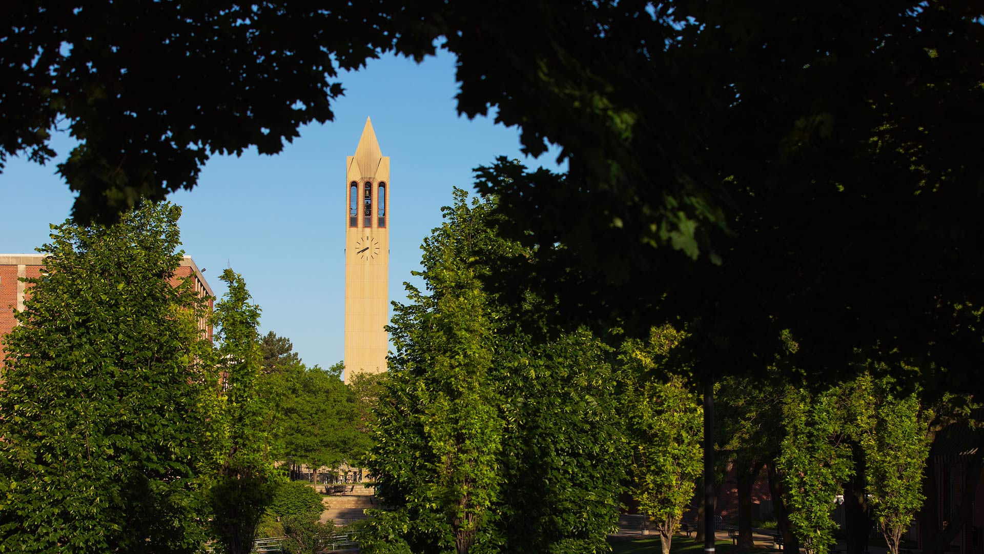 20200529_campanile-zoom.jpg