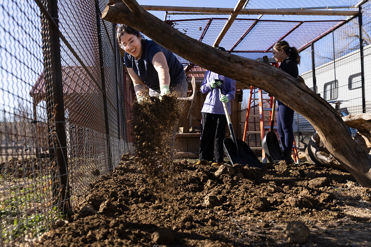 University of Nebraska at Omaha students, staff, and members of the Omaha community volunteered at Scatter Joy Acres in Murray, Nebraska for a service project during Spring Break.