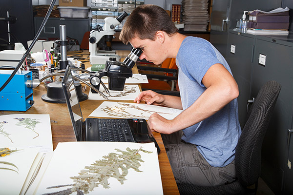 person seated at large table looking in microscope while surrounded by printed research materials