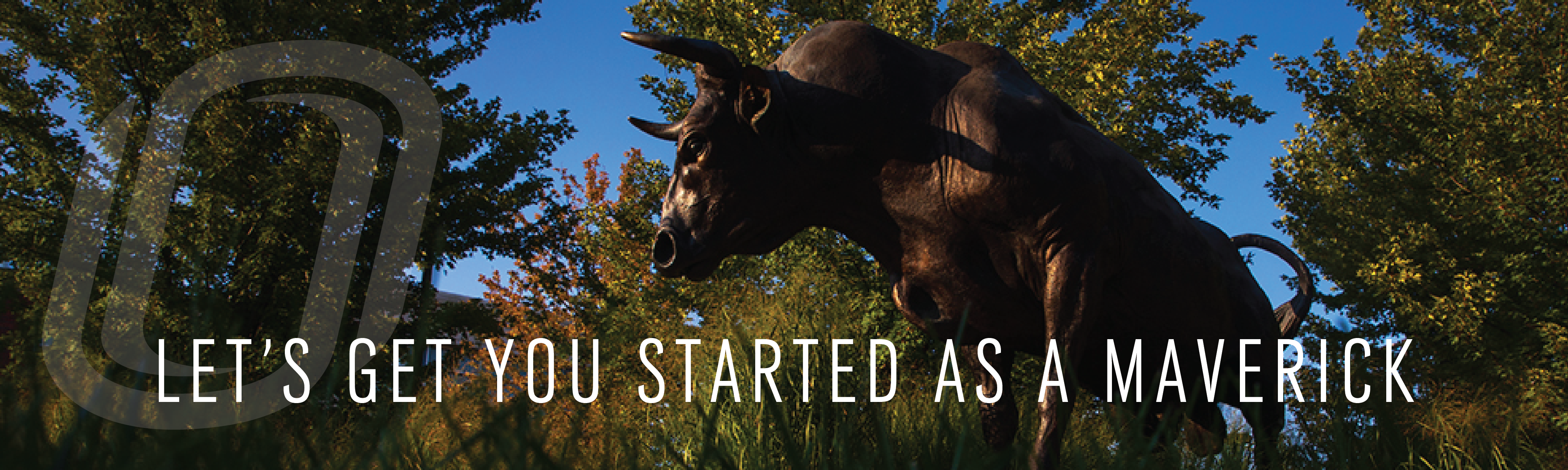 bronze bull statue on campus with trees and sky in background