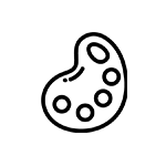Creative Activity icon