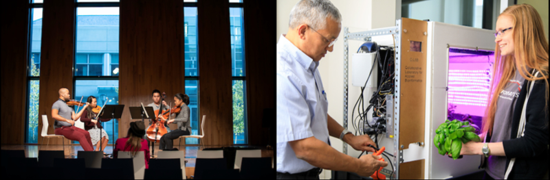 cab lab and musicians