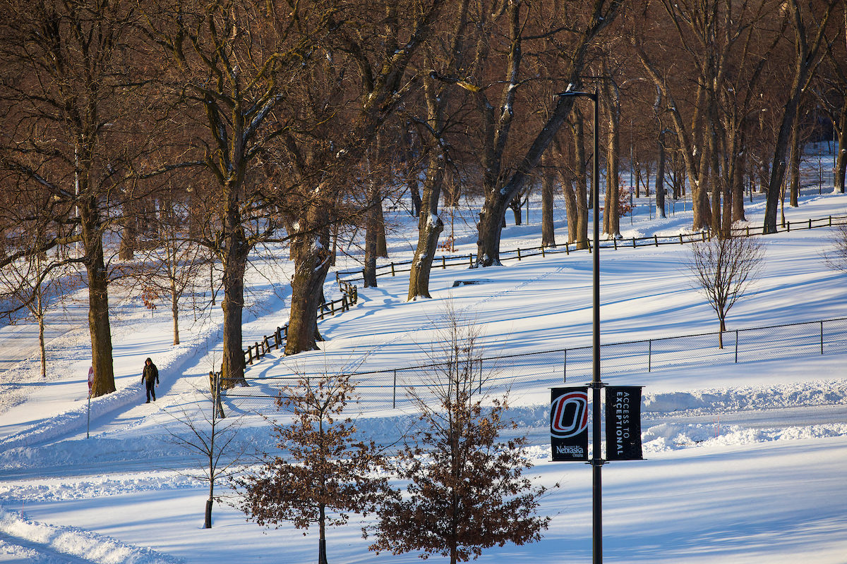 after a heavy snowfall