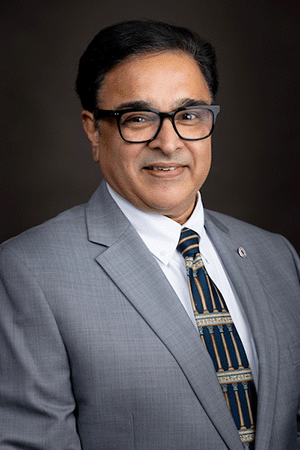 Gurpreet S. Dhillon, Ph.D.