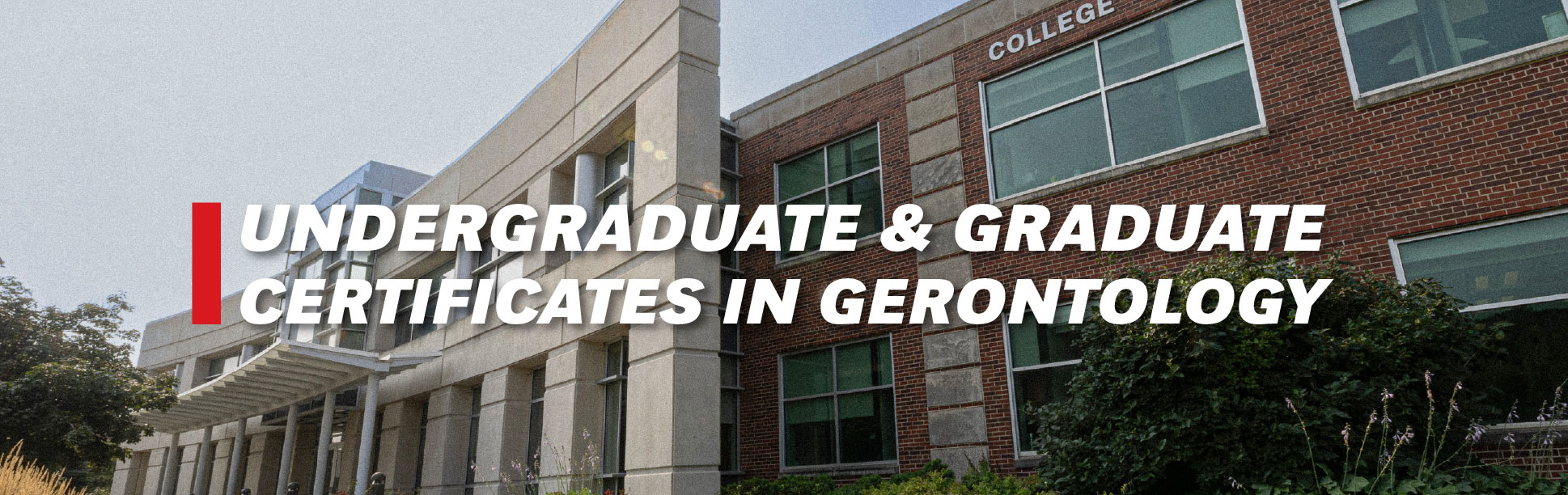 Exterior view of a university building with modern beige stone architecture on the left and classic red brick on the right. Overlaid bold white text reads, "Undergraduate & Graduate Certificates in Gerontology," with a vertical red accent bar beside the word "Undergraduate."
