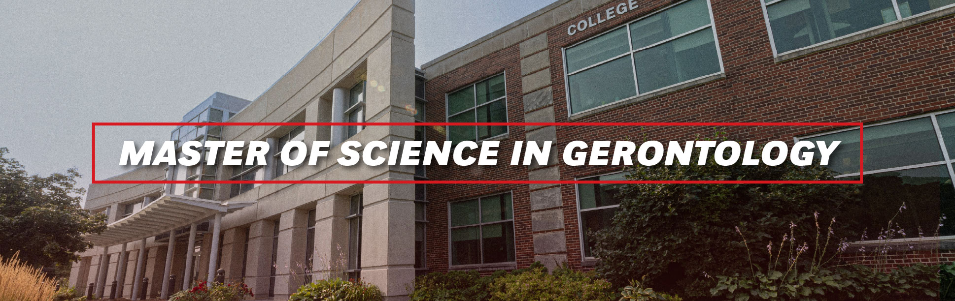 Hero image that reads Master of Science in Gerontology inside a thing red-lined box with a low opacity building in the background.