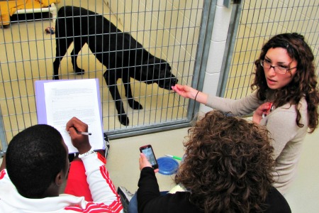 students clicker training dogs