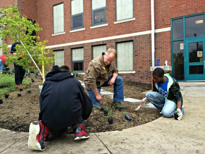 Rain Garden