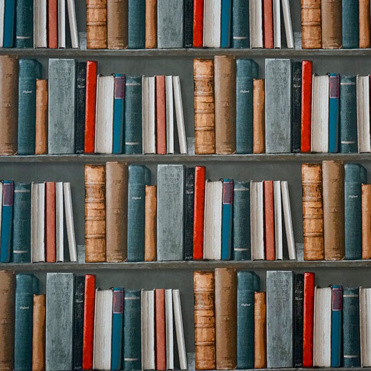 Image of books.