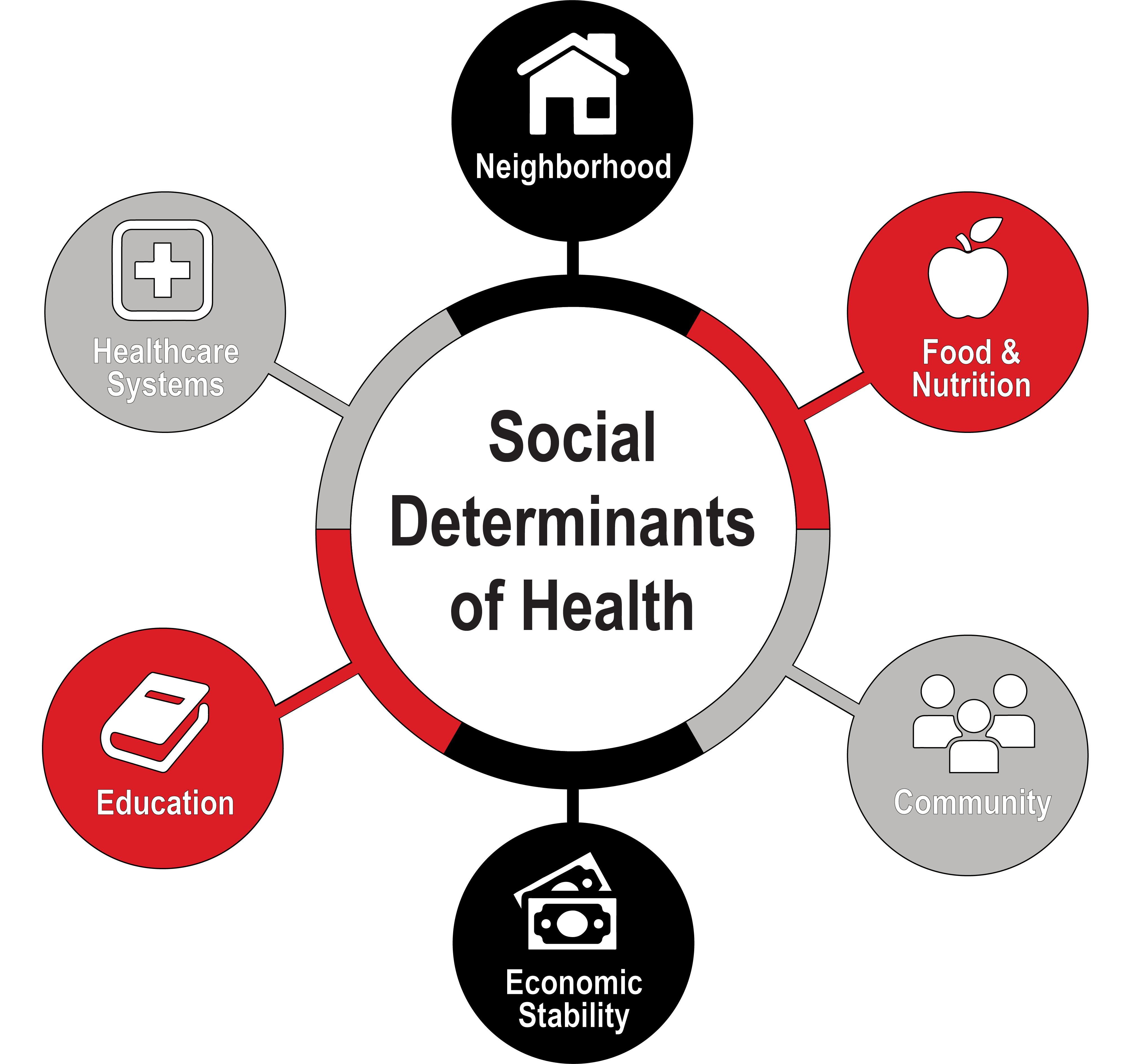 social-determinants-of-health-backup.jpg