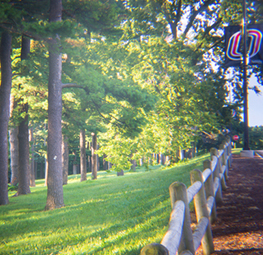 students walking on campus