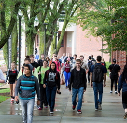 students walking on campus