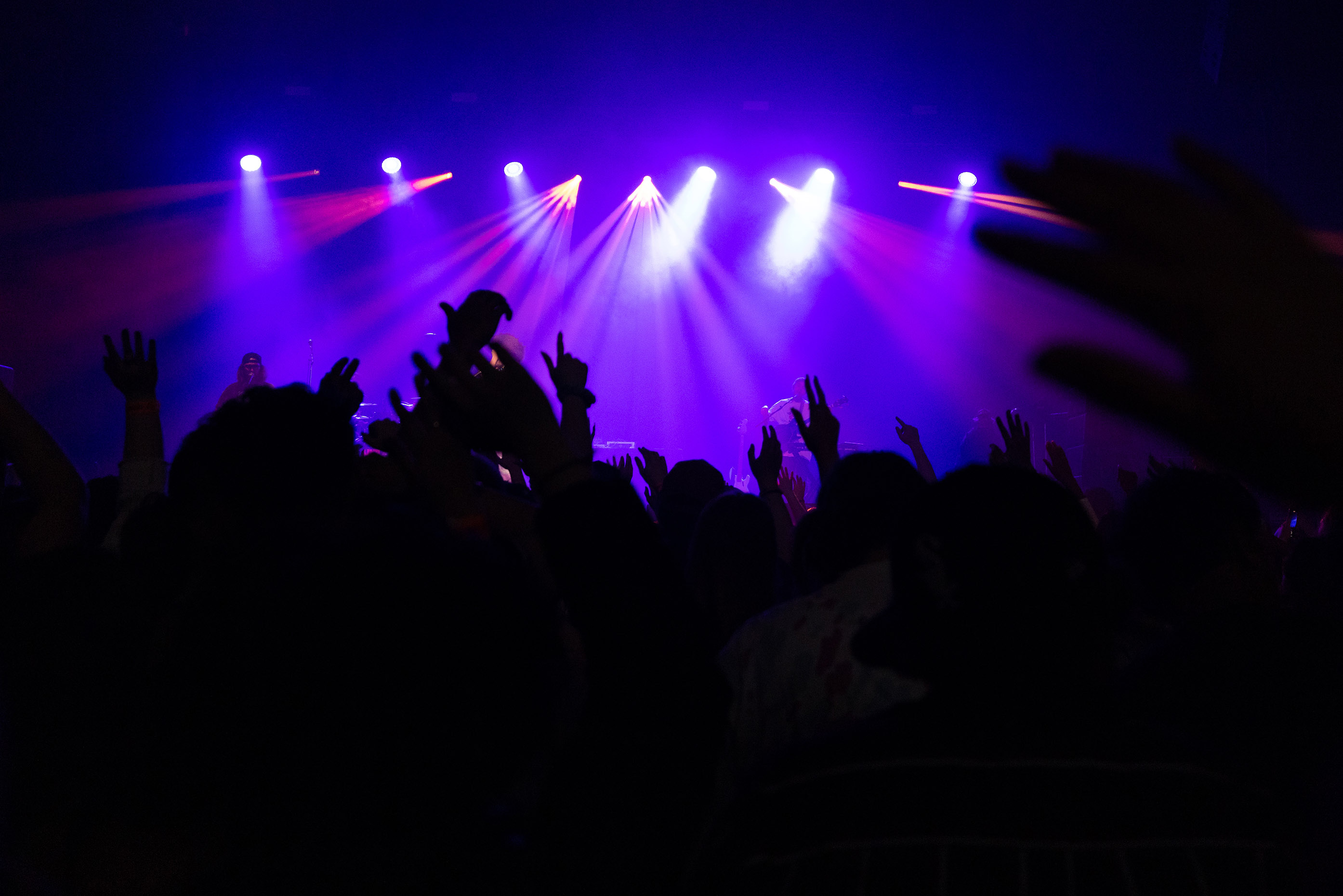 MavPro Palooza 2022 concert crowd