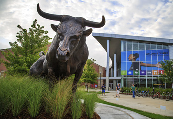 Image shows the Maverick Bull statue in front of the H&K building on Dodge Campus.