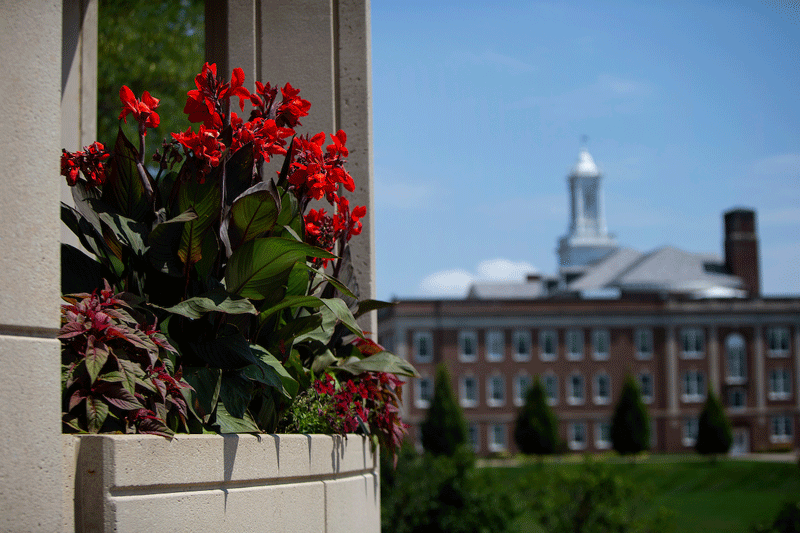 Flowers bloom on the Milo Bail Student Center Plaza on campus at the University of Nebraska at Omaha