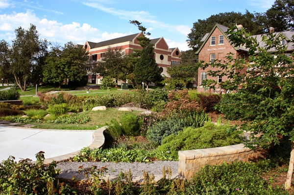 Bioretention Garden