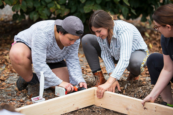 Students building garden bed