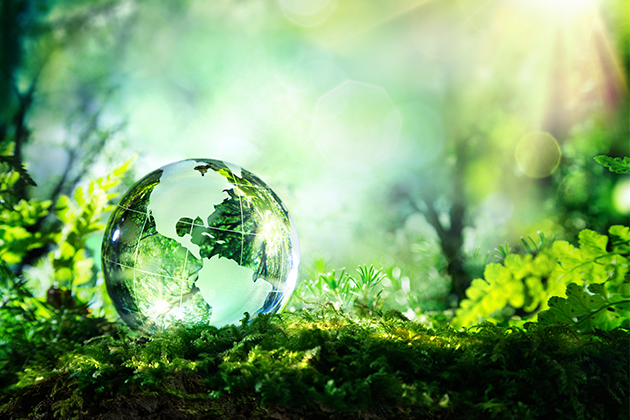 A glass orb shaded to look like the Earth sits on a lush green forest floor.