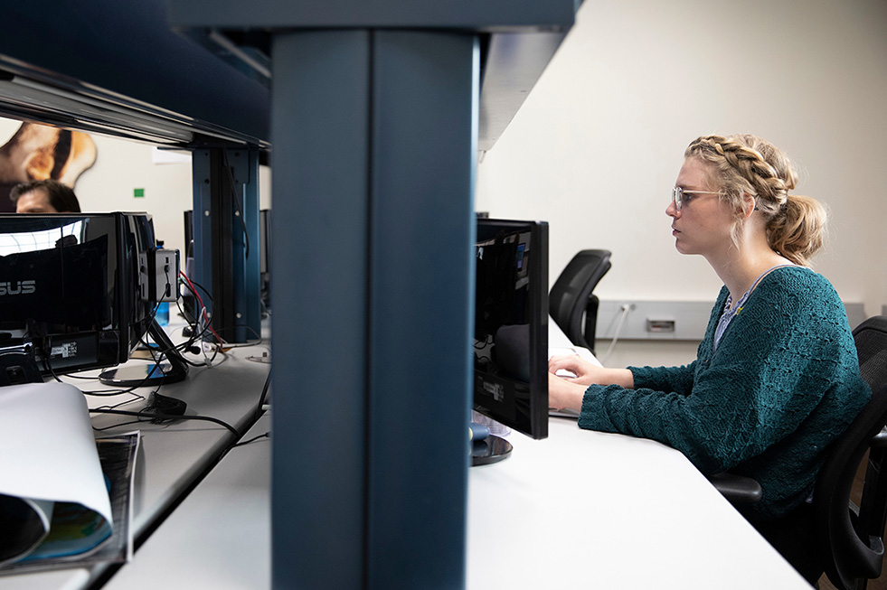 woman looking at computer