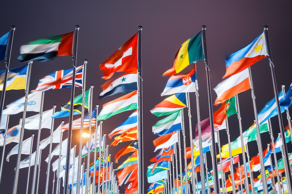 flags from across the globe flying at night