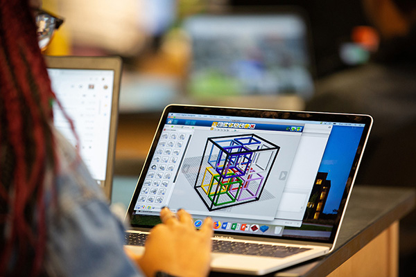 image shown on an open laptop