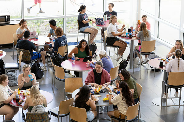 groups of people sit at different tables enjoying lunch at UNO's h&k building